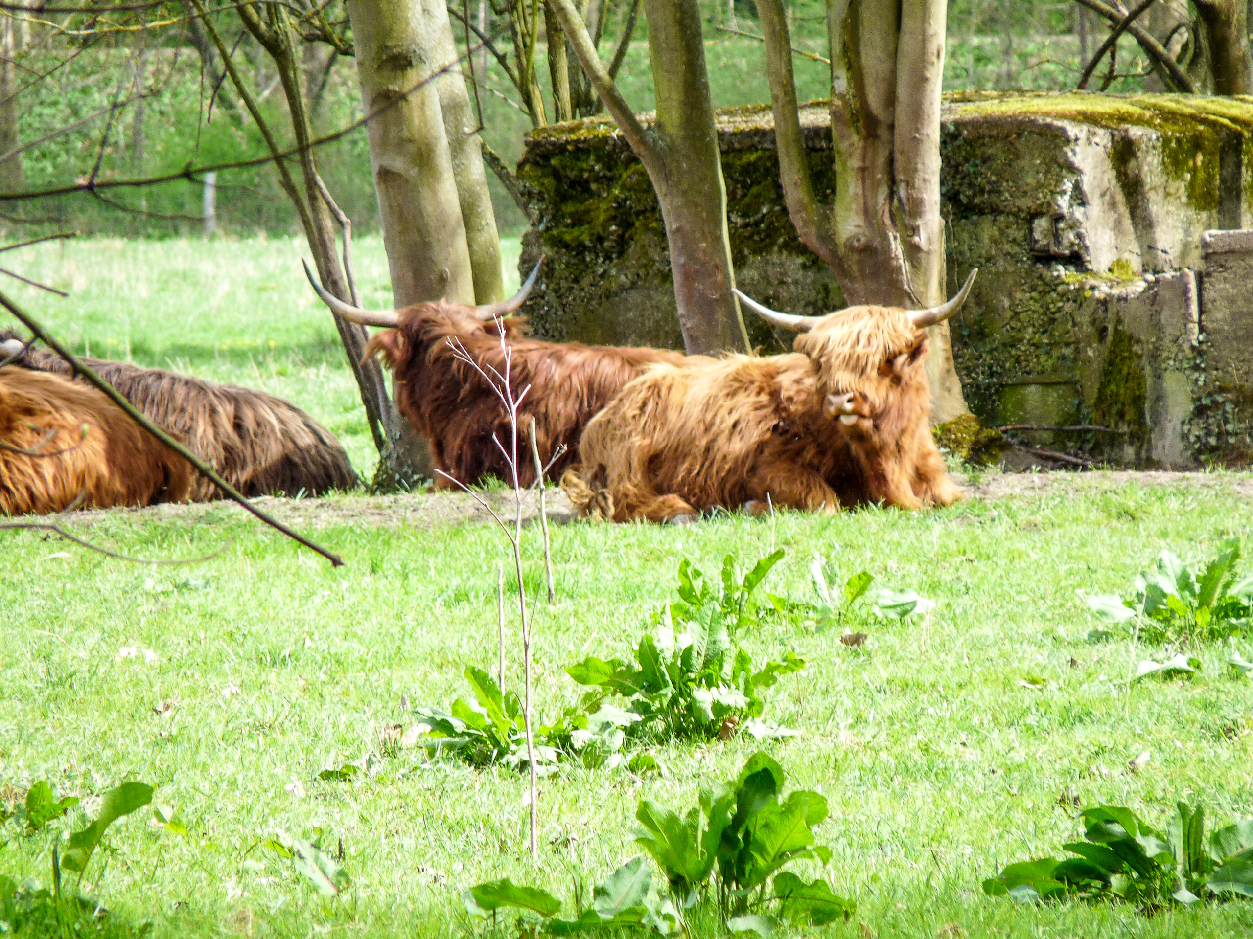 20180414150852 P1110054